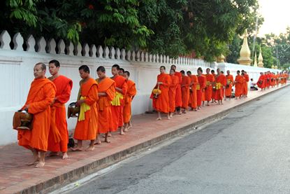 Picture of Luang Prabang - Buddha Caves - Immersion in the heart of Ban Xiengmene