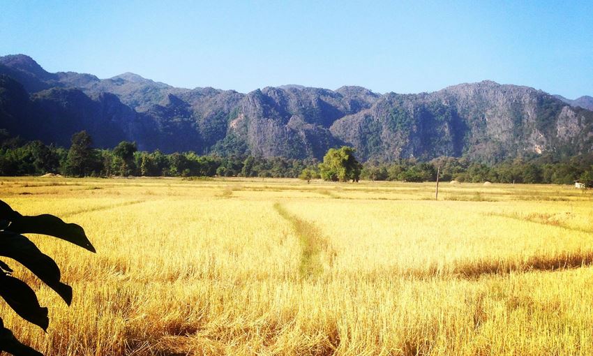 Picture of Road To Southern Laos Tour 8 days