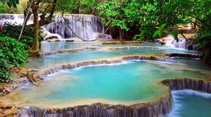 Picture of DAY 4: LUANG PRABANG – PHOSY MARKET – KUANG SI – BUFFALO FARM (B/-/-)