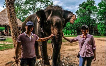 Picture of DAY 6: LUANG PRABANG – ELEPHANT VILLAGE – TRAIN TO VANG VIENG (B/L/-)