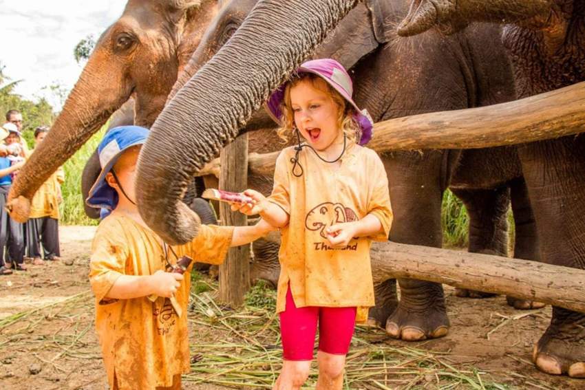 Family Tour in Laos
